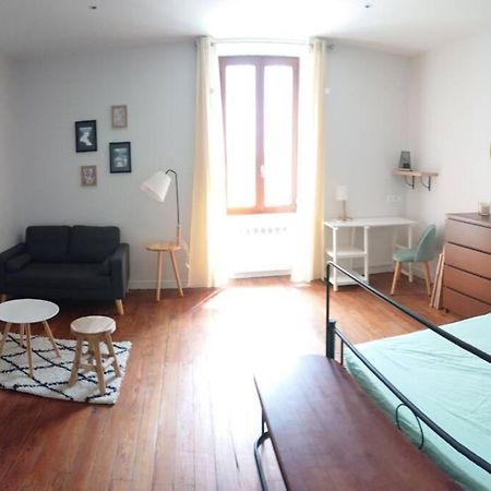 Le Beausejour - Cosy T2 - Business Ou We - Gare Διαμέρισμα Bellegarde-sur-Valserine Εξωτερικό φωτογραφία